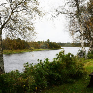 Riverbank jarhois overlooking the river of Tårneå